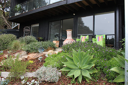A view of the apartments' gardens